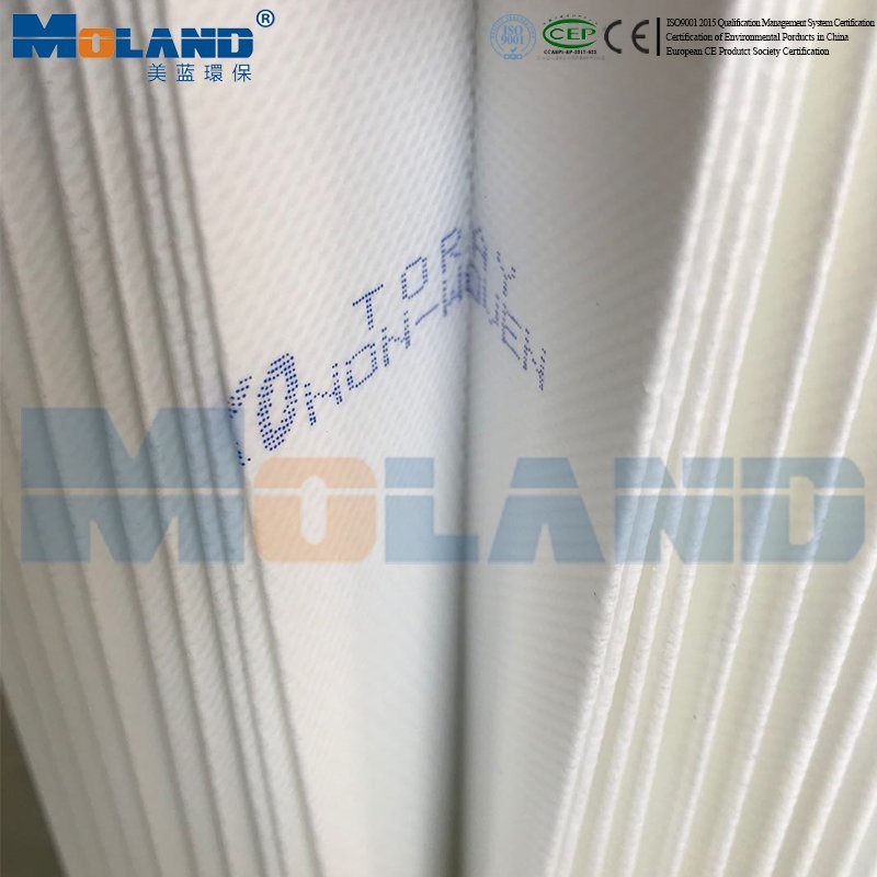 Moland Polyester Air Filter Element PTFE Membrane Pleated Industrial