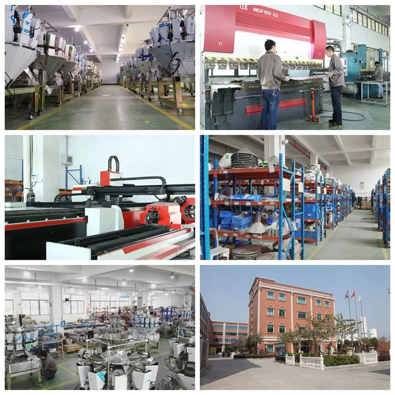 Cost-Effective 10 Head Multi-Head Food Packing Machine