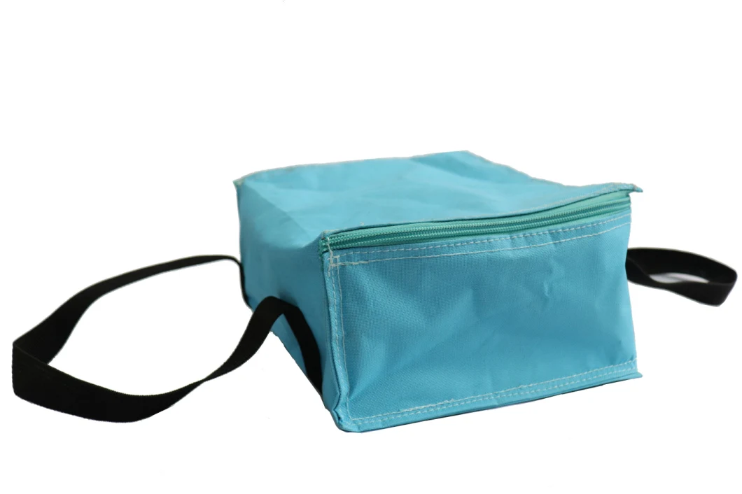 Small Picnic Cooler Bag Ice Bag Thermal Lunch Bag