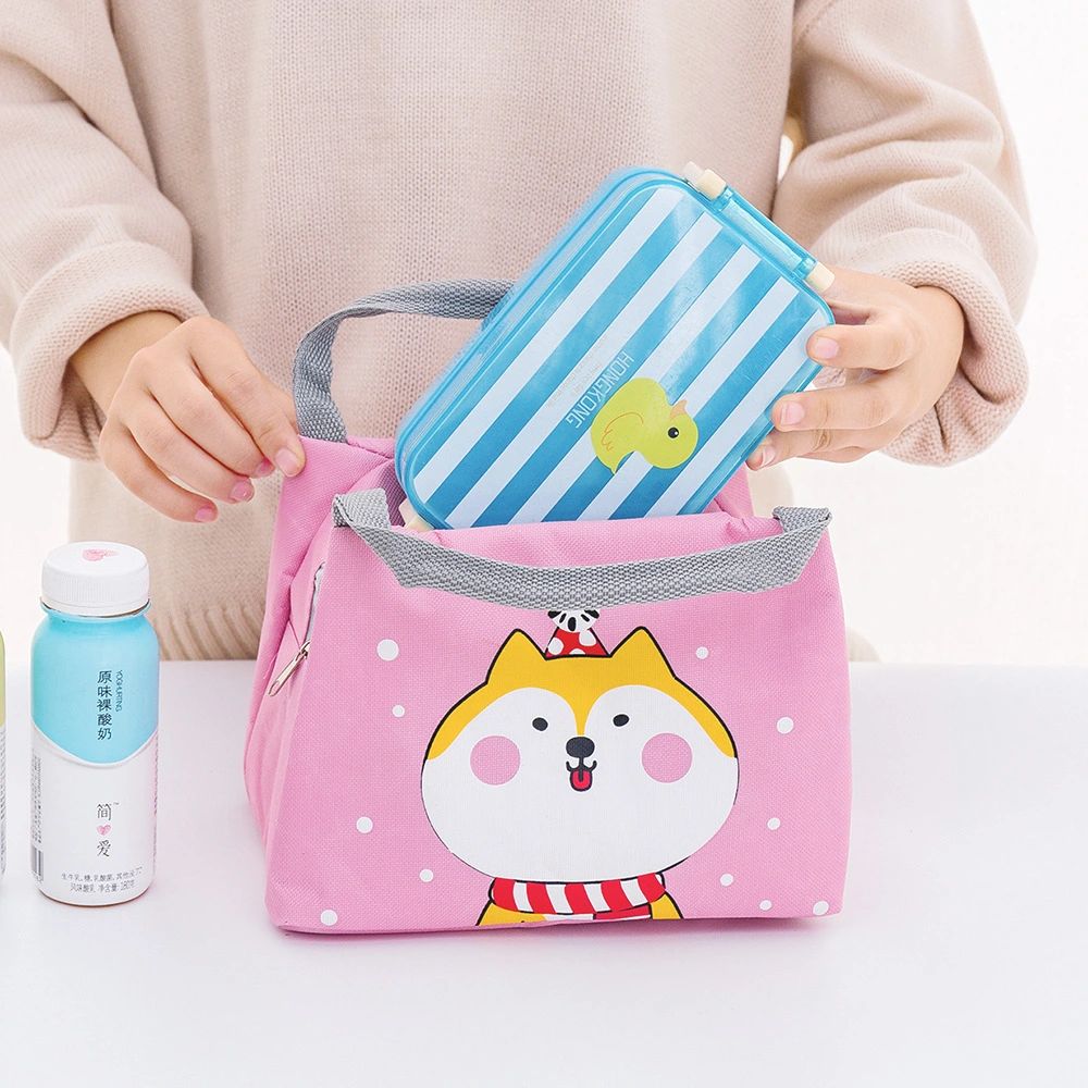 New Fashion Primary School Students Lunch Bag Zipper Kids Cooler Bag Outdoor Custom Environmental Protection Bag