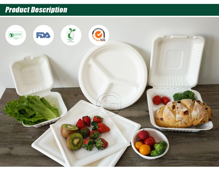 Just Easy Green Biodegradable 3 Compartment Lunch Box 8