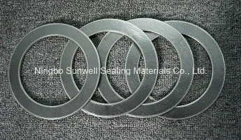 Graphite Gaskets/Expanded Graphite Gaskets/Gasket Insert CS 304 316