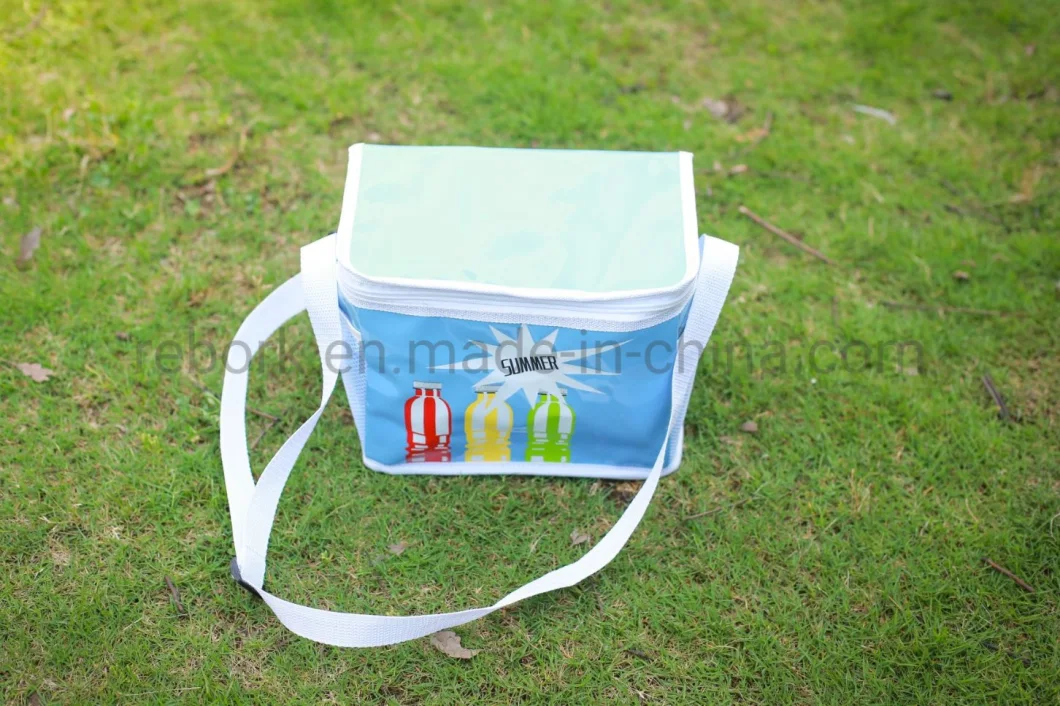 Printed Picnic Lunch Bento Foods Bottle Ice Bag Thermal Cooler Bag Insulated Cooler Bag