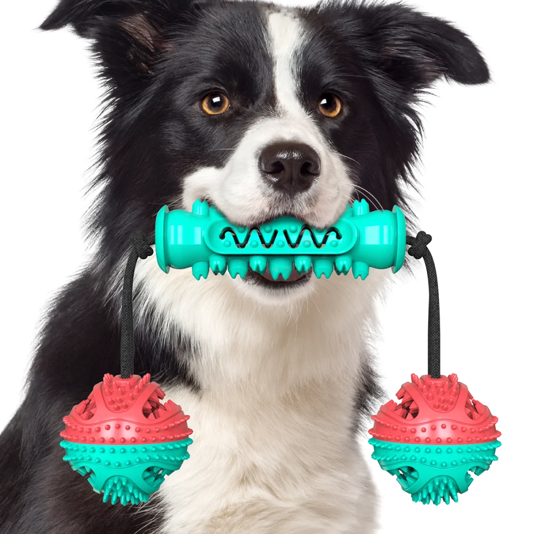Dog Toothbrush Toy with Rubber Chew Ball for Dog Toy Pet Products