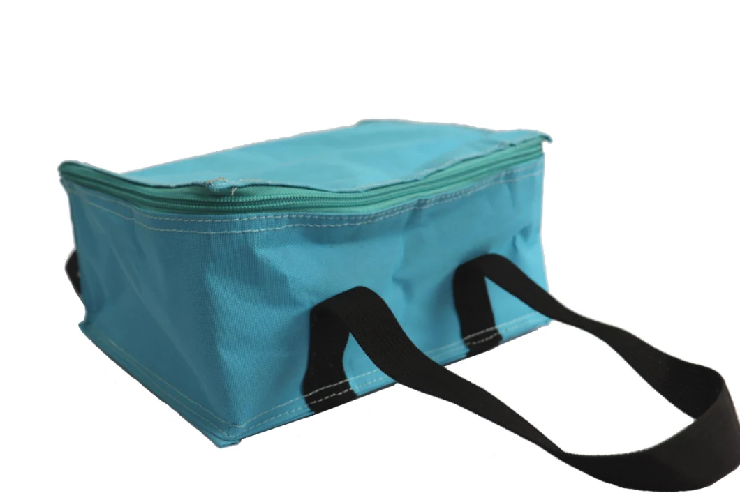 Small Picnic Cooler Bag Ice Bag Thermal Lunch Bag