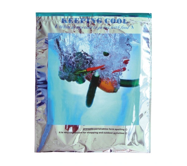 Ziplock Cooler Bag for Food Delivery Insulated Thermal Bag with Ziplock Plastic Picnic Snacks Thermal Bag