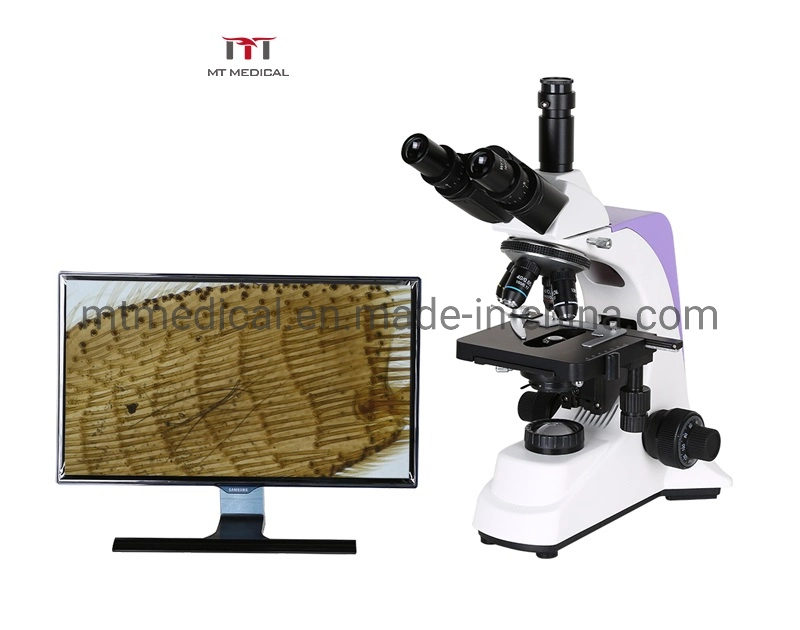 40X -1000X Upright Microscope Trinocular Head with LED Light