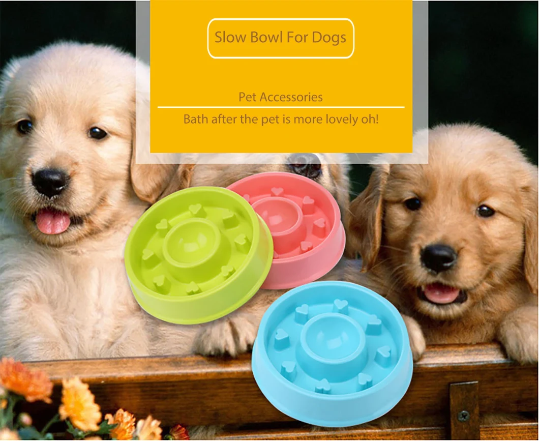 Double Dog Bowl/Dog Food and Water Bowl/Dog Eating Bowl