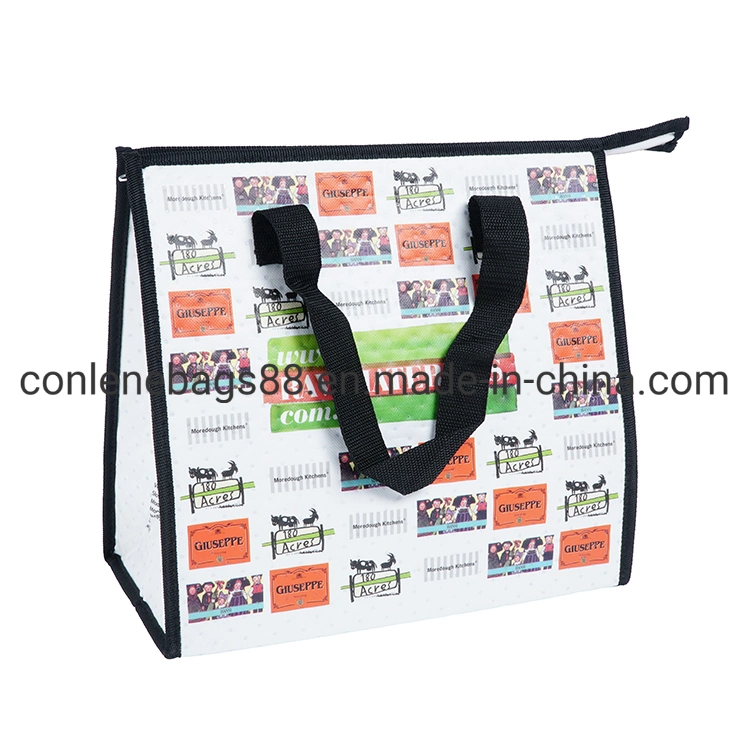 Hot Sale Professional Made Thermal Cooler Bag Printed Cooler Lunch Bag
