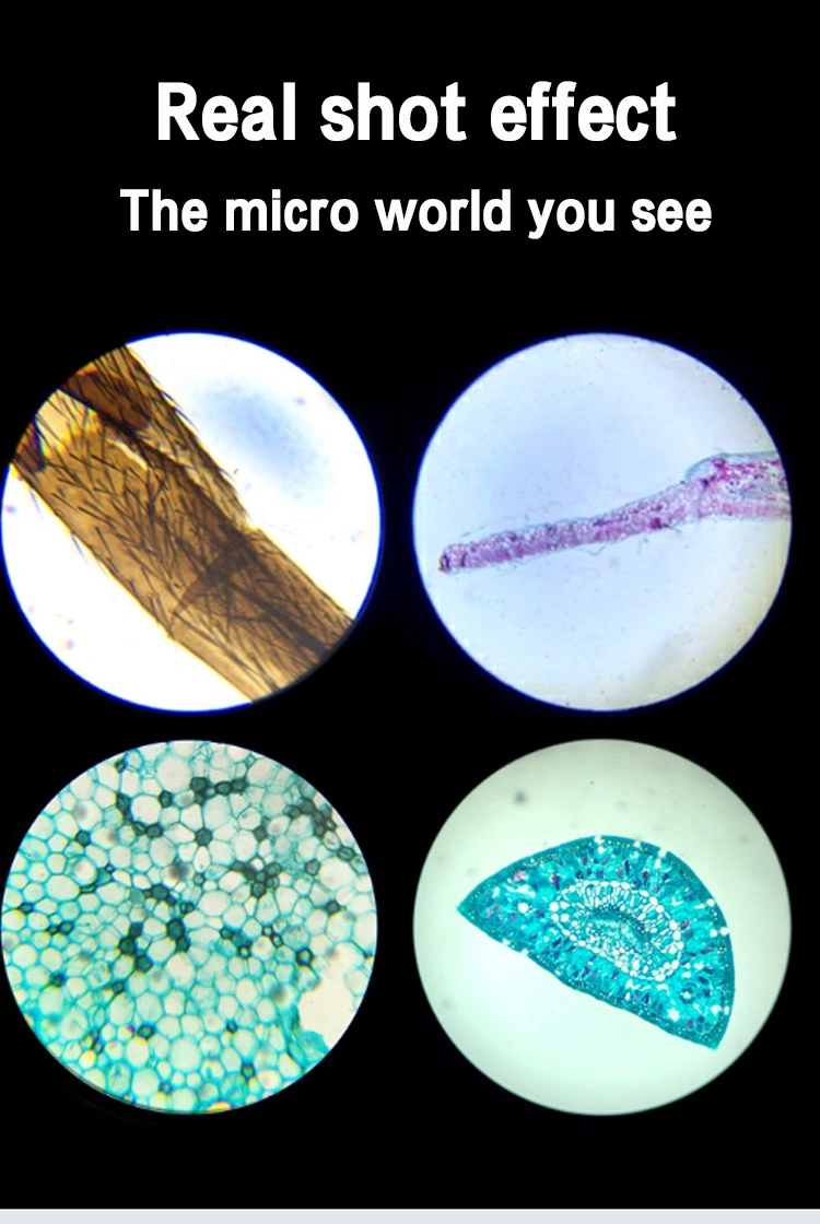 Microscope Mobile Streamlined Design Concept Pocket Microscope