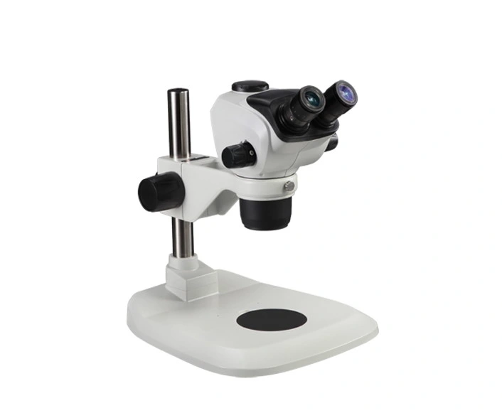 Optical Biological Binocular Microscope for Dental Surgical Microscopy