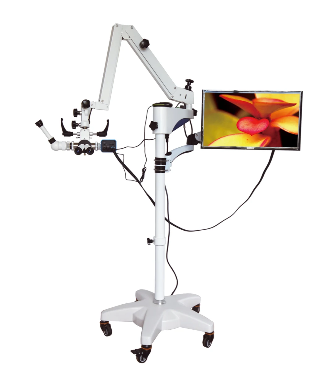 China Factory Surgical Multipurpose Hospital Operating Operation Microscope for Ent