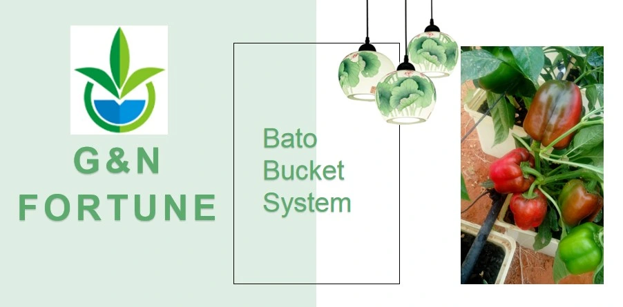 Water-Saving Fertilizer-Saving Double Dutch Bato Bucket Hydroponic Planting Pepper Cucumber System