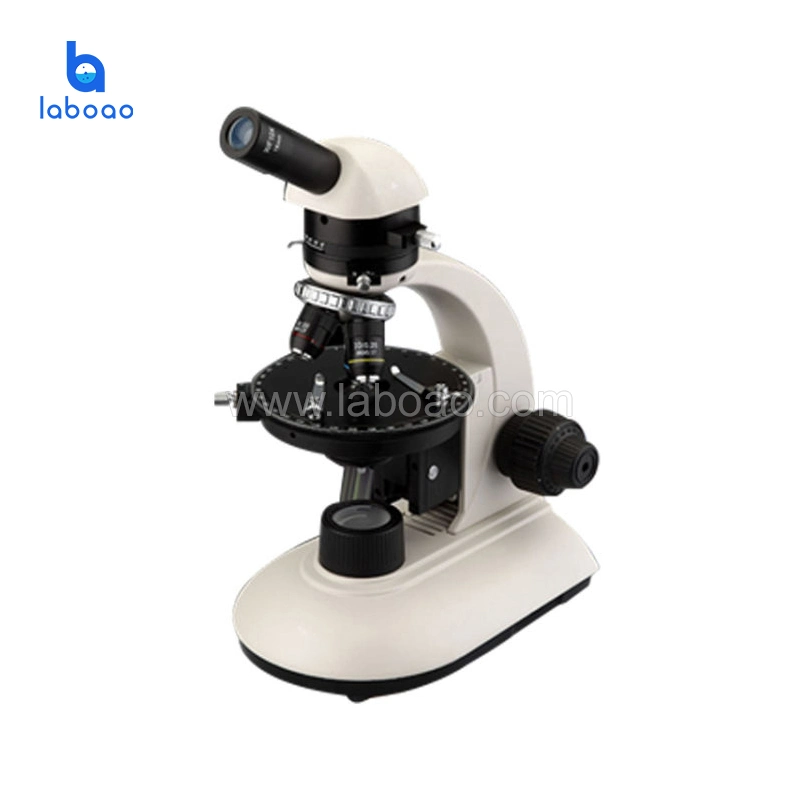 Digital Camera Professional Polarizing Microscope Used in Laboratory