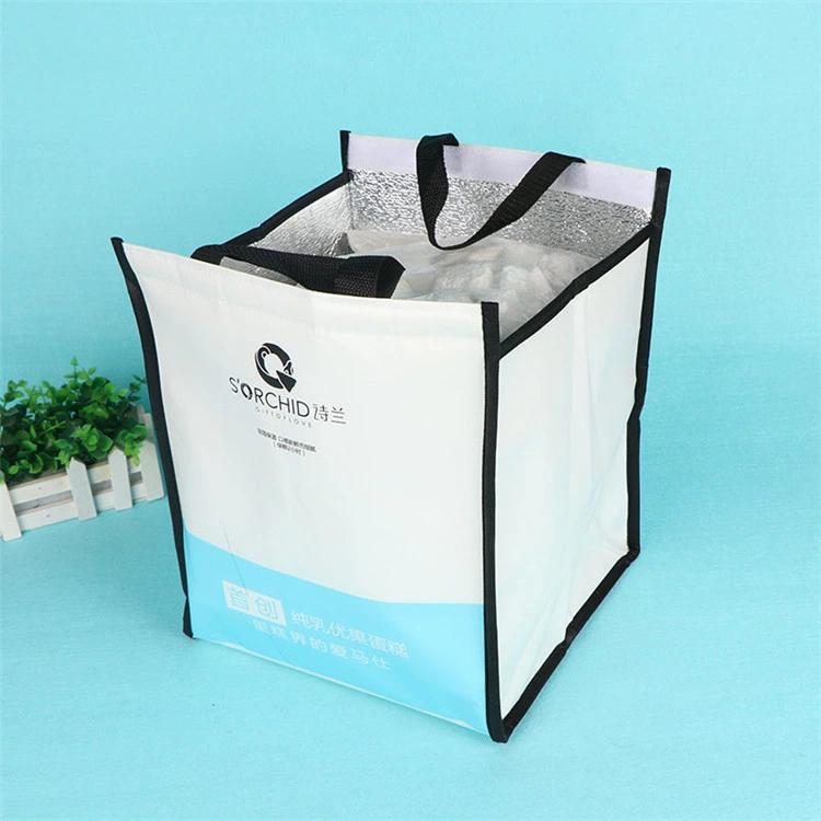 Customized Non-Woven Insulated Cooler Lunch Bag for Frozen Food