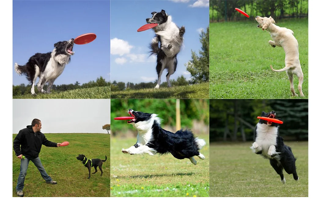 Wholesale Outdoor Silicone Rubber Dog Fetch Frisbee Durable Dog Toy