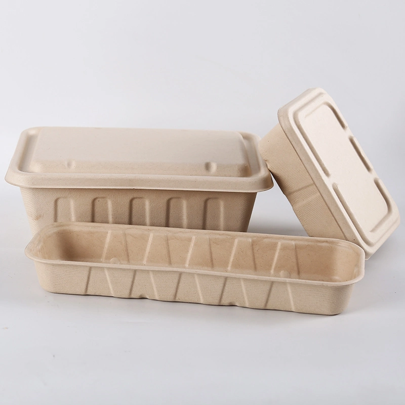 Natural Wheat Straw Pulp Lunch Packing Box