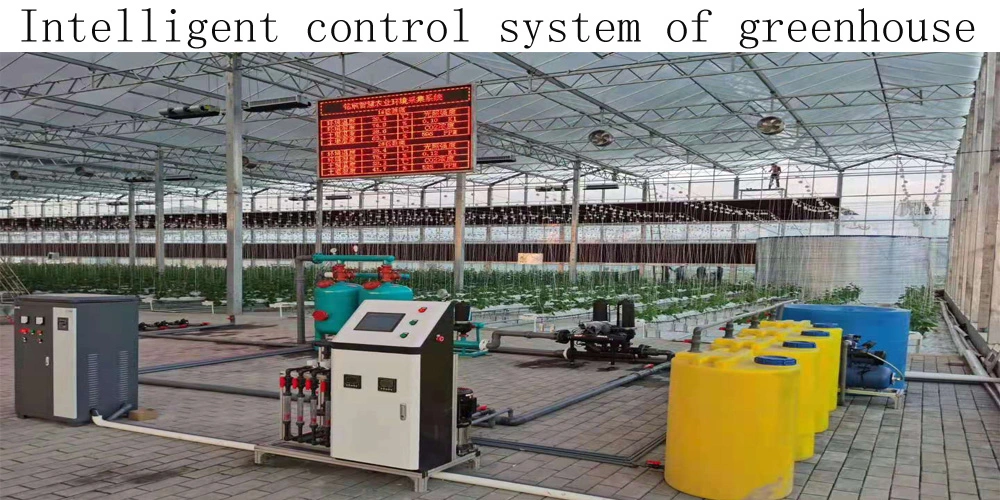 Large Automatic Intelligent Agricultural Glass Greenhouse with Soilless Culture Hydroponic Drip Irrigation System