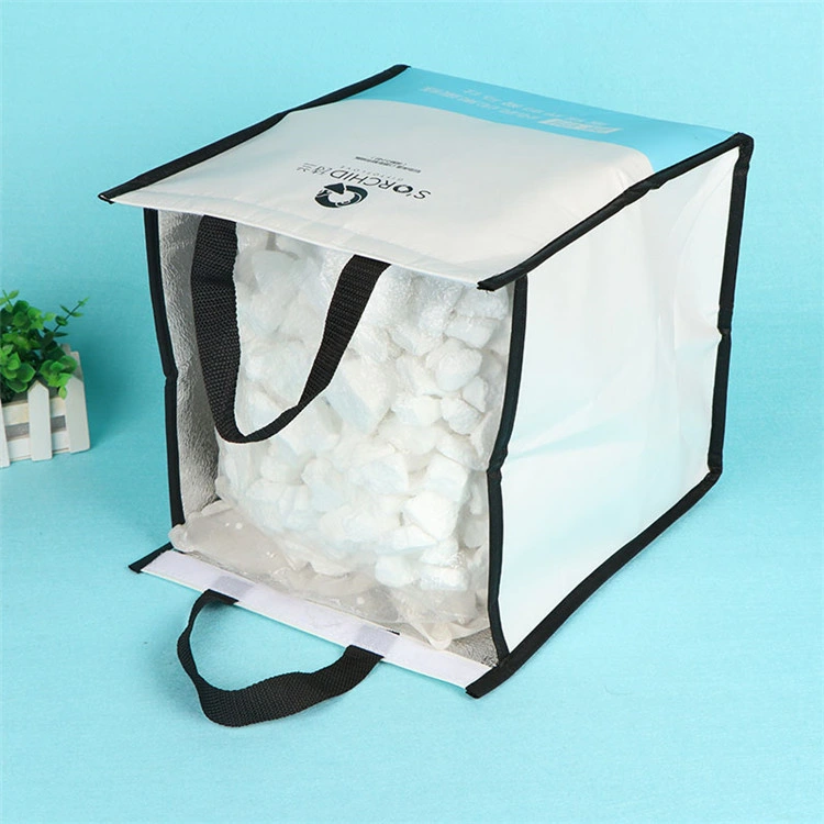 Customized Non-Woven Insulated Cooler Lunch Bag for Frozen Food