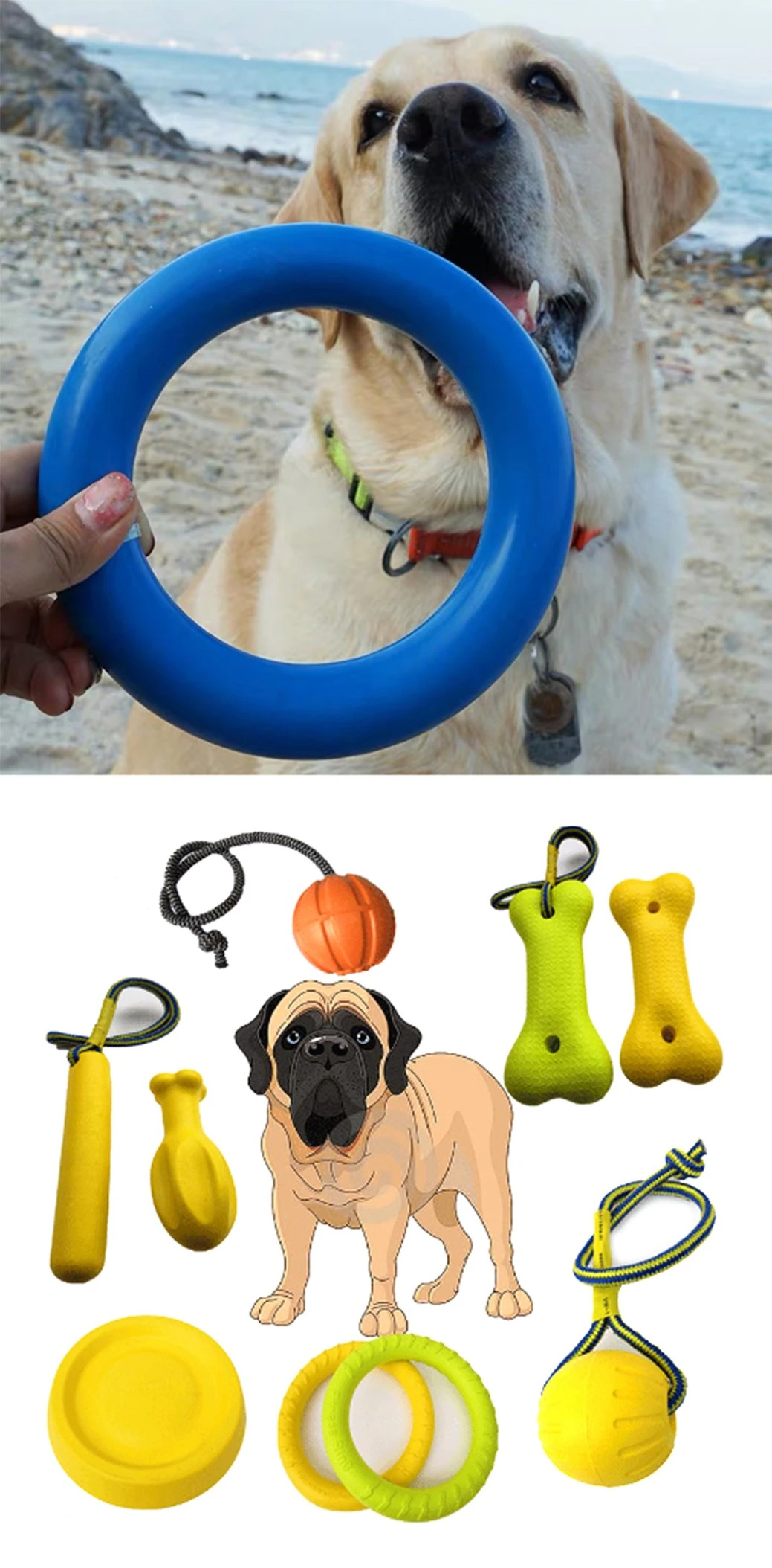 Outdoor Fitness Flying Discs Pet EVA Foam Toys Set Dogs Ball Dog Training Toy Chew Play Bite Toy