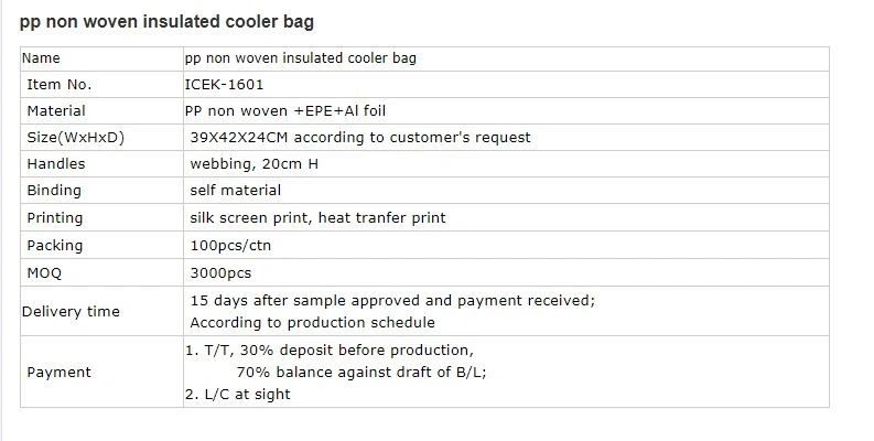 Reusable Lunch Thermal Cooler Bag Food Insulated Promotional Non Woven Cooler Bag