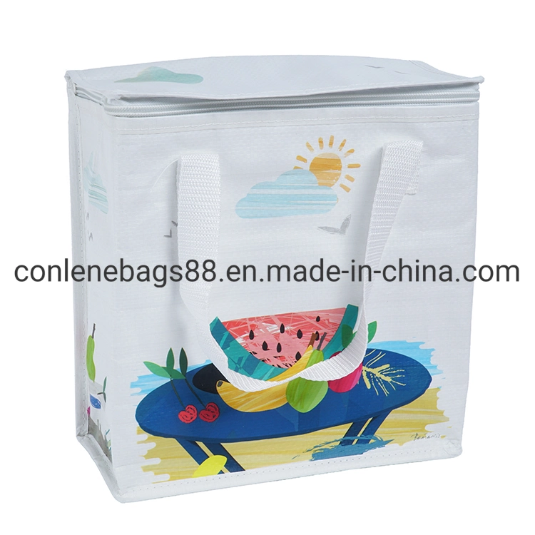 Hot Sale Professional Made Thermal Cooler Bag Printed Cooler Lunch Bag