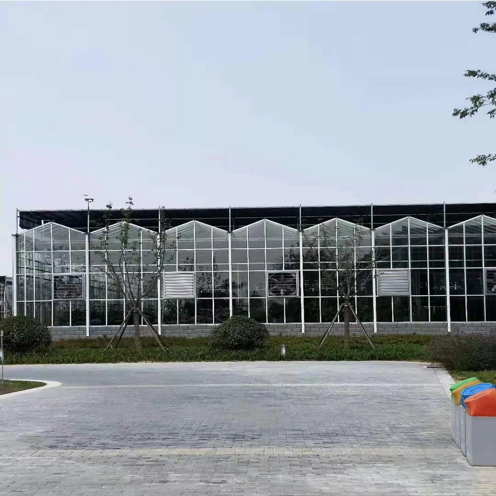 Large Automatic Intelligent Agricultural Glass Greenhouse with Soilless Culture Hydroponic Drip Irrigation System