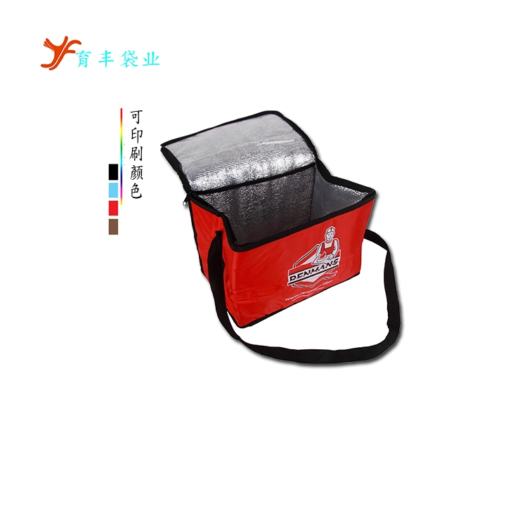 Nonwoven Insulated Lunch Bag Cooler Bag with Zipper