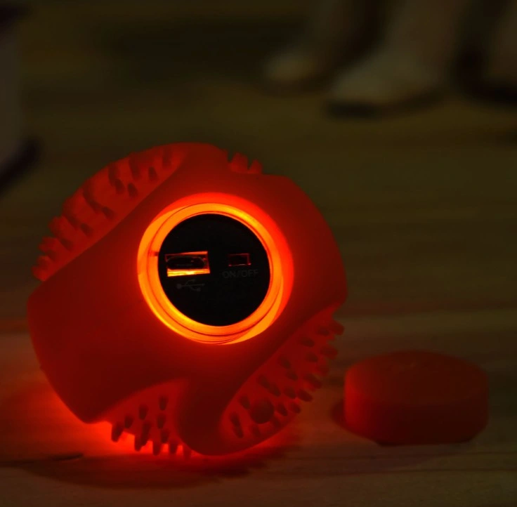 Glowing Pet Training Silicone Ball LED Dog Chew Toy