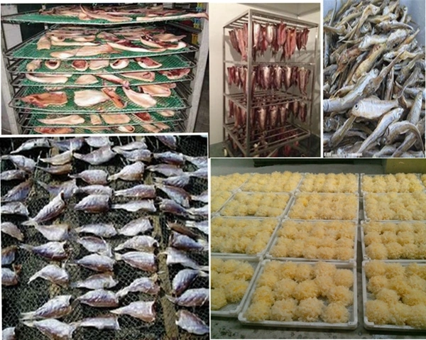 Fish Drying Machine/ Dried Fish Processing Machine/ Fish Dehydrator