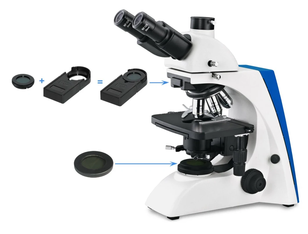 BS-2063t 40-1000X Biological Microscope for College Education