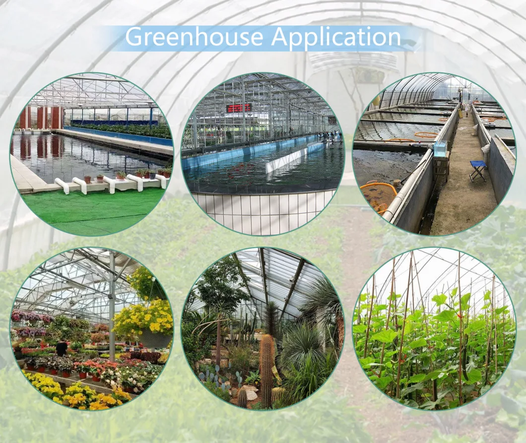 Galvanized Steel Tube Glass Greenhouse with Drip Irrigation System