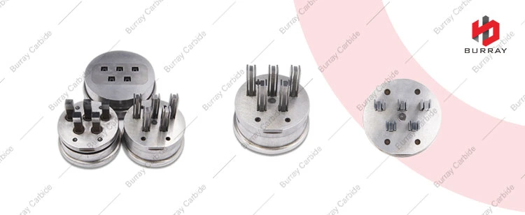 High Profession Electroplate/Titanium-Plated/Chrome Plated Mould