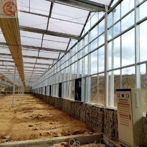 Automatic Agricultural/Multi-Span/Hollow/Tempered Glass Greenhouse with Hydroponic/Drip Irrigation System