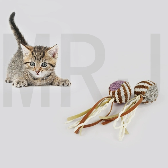 Funny Pet Toy Cat Ball Toys with Linen Wrapped 2PCS Packed