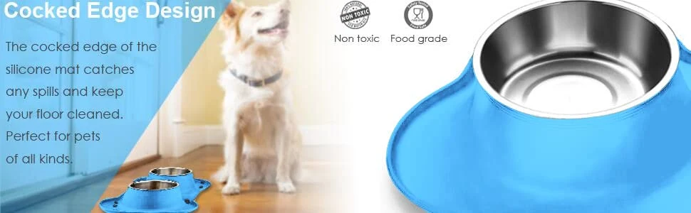 Water Bowls with No-Spill No-Skid Silicone Mat Stainless Steel Double Dog Food Bowl