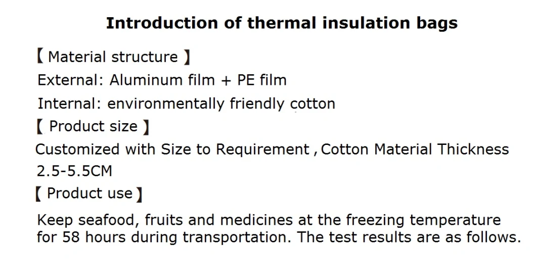 Thermal Insulated Freezer and Cooler Bag/Thermal Bag