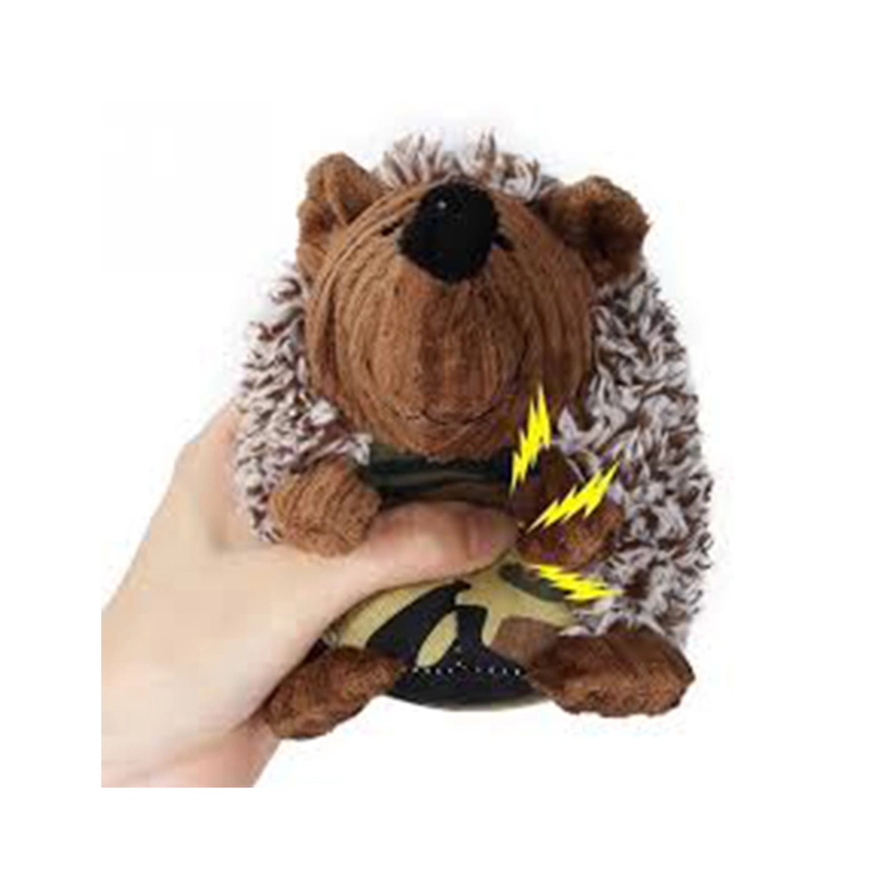 2021 Factory Directed Funny Play Training Pet Toy Squeak Sound Toy Interactive Plush Dog Chew Toys