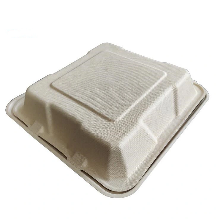 Biodegradable Disposable Take out Meal Disposable Thermal Box Adult Lunch Box