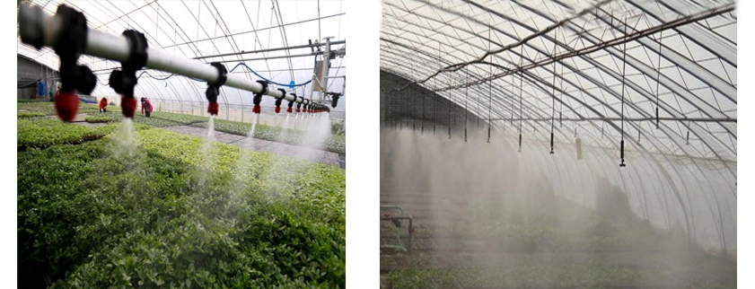 Galvanized Steel Tube Glass Greenhouse with Drip Irrigation System