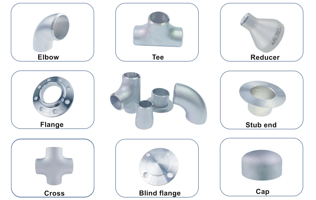 ANSI Stainless Steel Pipe Stub End Fitting Union