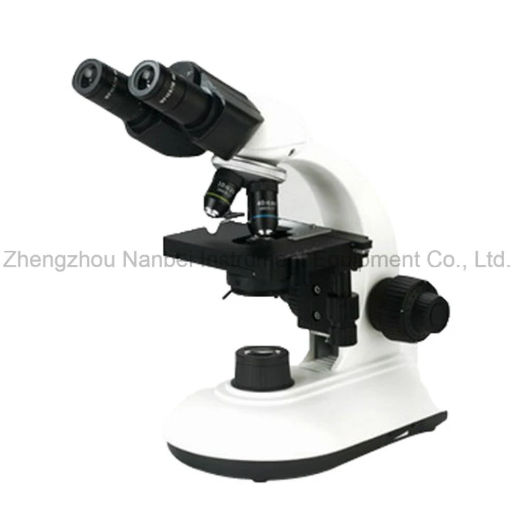 Hot Sell China Manufacturer Two Heads Biological Microscope