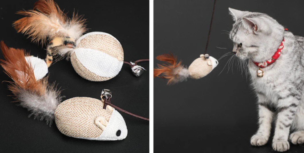 Pet Supplies Funny Cute Cat Teaser Sticks with Feather