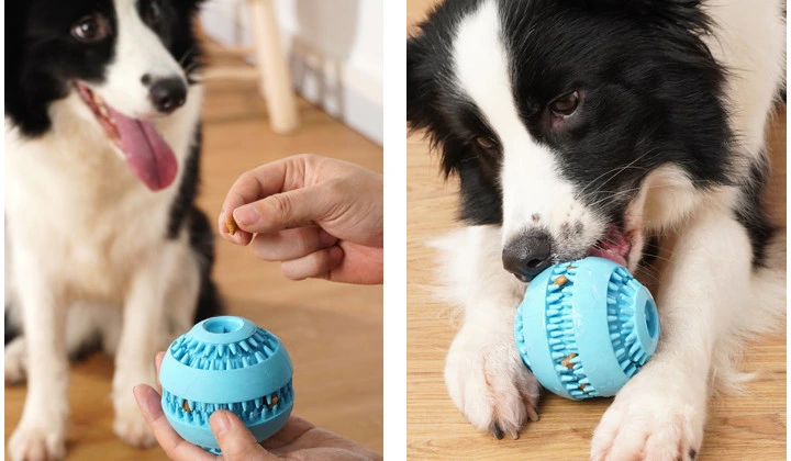 Indestructible Solid Rubber Ball for Pet Cat Dog Training Chew