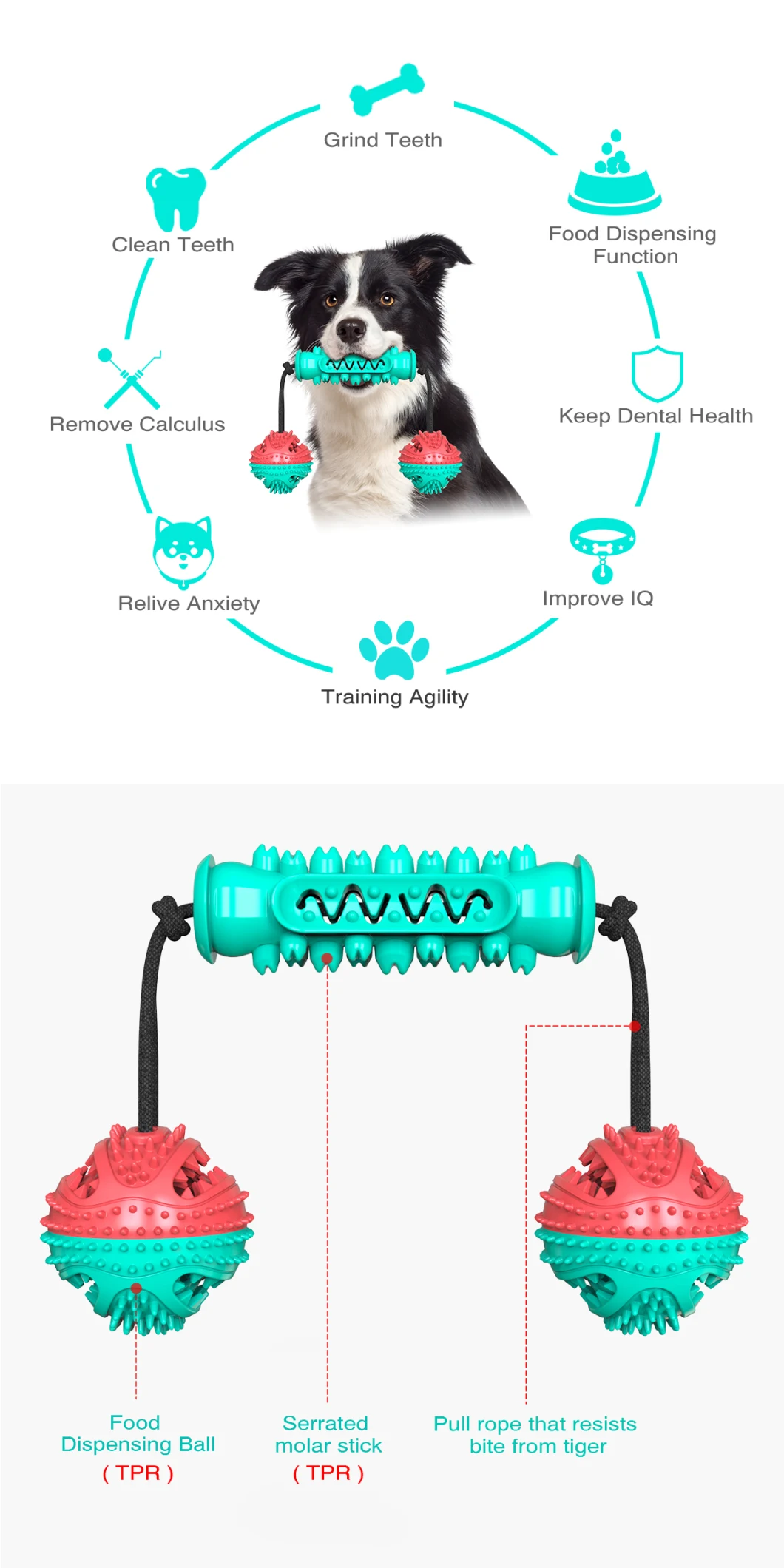 Dog Toothbrush Toy with Rubber Chew Ball for Dog Toy Pet Products