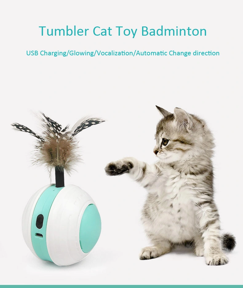 Interactive Cat Toys with Catnip Balance Swing Car Toy Cat Wand Pets Exercise Swing Car Funny Play Cat Tumbler Toy