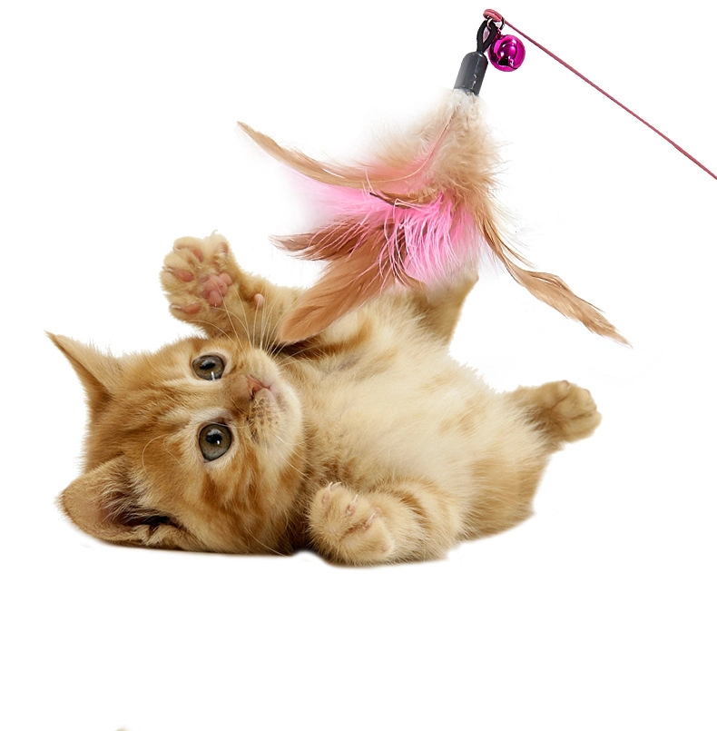 Pink Steel Feather Interactive Cat Toy Elastic Feather Funny Cat Toy