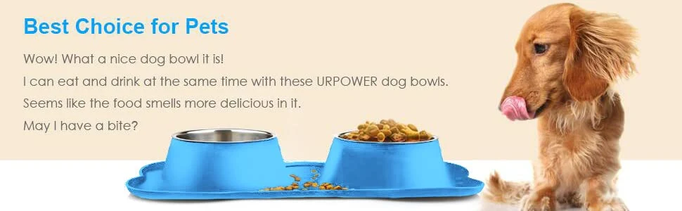 Wholesale Stainless Steel Double Dog Bowls for Food Water with Silicone Bowl Mat