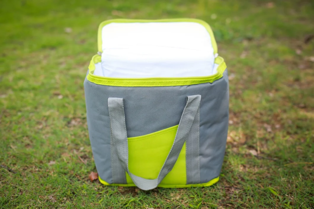 Promotional Picnic Lunch Bento Foods Bottle Ice Bag Thermal Cooler Bag Insulated Cooler Bag