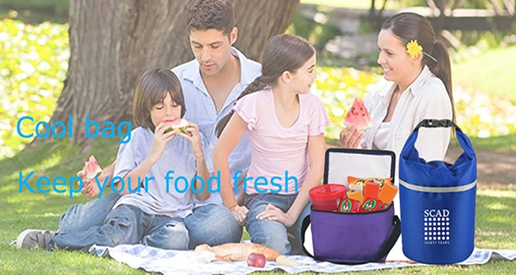 Custom Eco Friendly Food Cooler Tote Bag Women Insulated Lunch Bag with Zipper